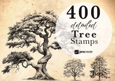 a drawing of a tree with the words, 400 detailed tree stamps procreate