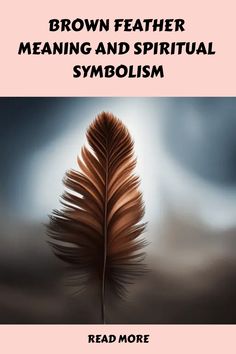 brown feather meaning and spirital symbolism