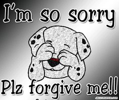 i'm so sorry plz forgive me metal novelty car sticker