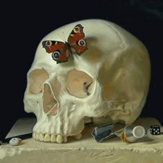 a painting of a skull with a butterfly on it's head and other items