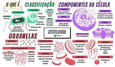 a poster with different types of food and words in spanish on the bottom right hand corner