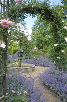 a garden filled with lots of purple flowers