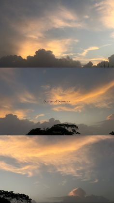 the sky with clouds and some trees in front of it, as seen from different angles