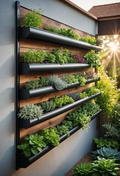 a vertical garden wall with plants growing on it