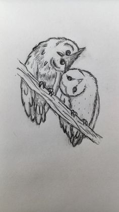 pencil drawing of two owls sitting on a branch