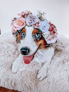 a dog wearing a flower crown on its head