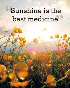 the sun shines brightly behind yellow flowers in a field with words that read, sunshine is the best medicine