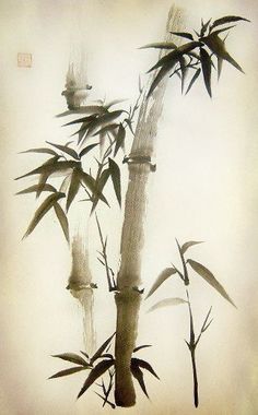 Bamboo Trees, Zen Painting, Ink Wash Painting, Chinese Brush Painting, Watercolour Inspiration