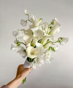 a hand holding a bouquet of white flowers