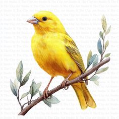 a yellow bird sitting on top of a tree branch with leaves and branches around it