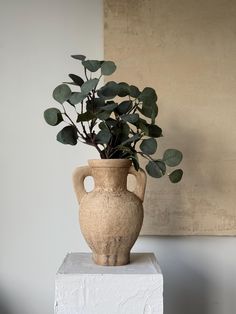 a plant in a vase sitting on top of a white block next to a painting