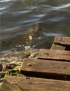 an old wooden dock with ducks swimming in the water