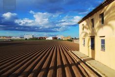 an empty farm field in front of a yellow building under a blue sky with clouds