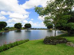 a lake surrounded by lush green grass and trees