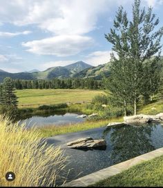 a pond in the middle of a grassy field with mountains in the background and trees