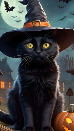 a black cat wearing a witches hat