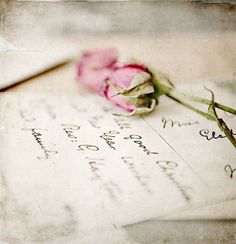 a pink rose sitting on top of an old letter with writing and a flower in it