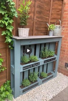 an outdoor shelf with plants growing on it