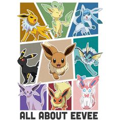 all about eevee poster with different types of pokemons and their respective characters