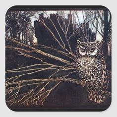 an owl sitting on a tree branch in the woods square sticker, with black background