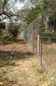 a fence that is in the middle of some grass and dirt with trees behind it