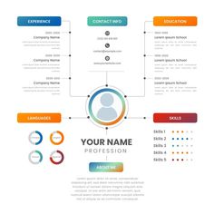 a professional resume template with icons and colors