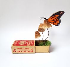 an orange and black butterfly sitting on top of a box next to a small plant