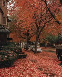 the leaves on the ground are falling from trees and cars parked in front of them