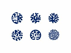 four different types of corals in blue and white on a white background, each with an individual's name