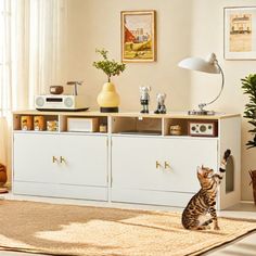 a cat sitting on top of a rug in front of a white cabinet with drawers