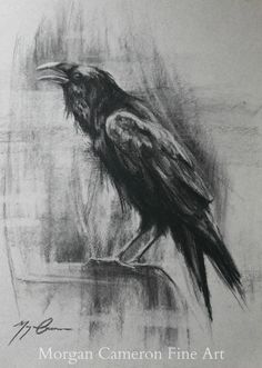 a drawing of a black bird sitting on top of a window sill with the words morgan camera fine art written below it