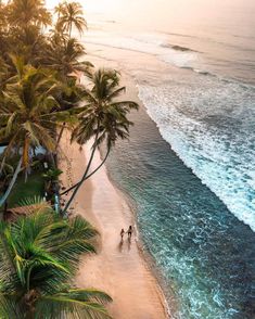 two people are walking on the beach next to the ocean and palm trees in the foreground