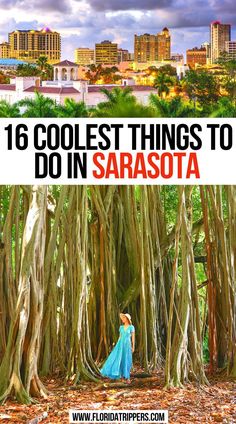 16 Coolest Things To Do In Sarasota Florida Getaway, Bradenton Beach, Bradenton Florida