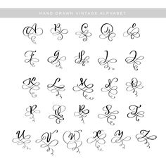 hand drawn vintage alphabets with capital letters and numbers in the style of calligraphy