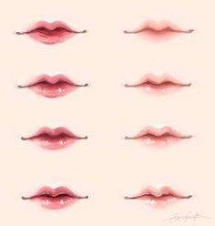 the different lip shapes are shown in this drawing