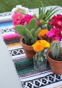 several potted plants are sitting on a colorful tablecloth with cactuses and flowers in them