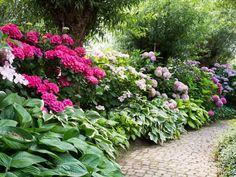 many different types of flowers in the garden