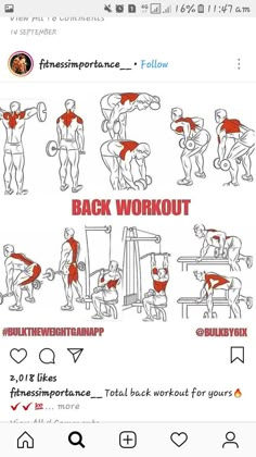 an image of the back workout