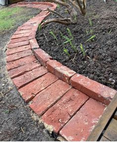 an old brick path is being used as a garden border