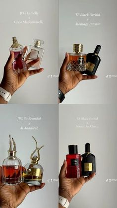 Summer, winter, autumn, fall, spring, tom ford, black orchid, montage intense, so scandal, JPG, La belle, coco Mademoiselle, woody and floral, layering combination, perfume combinations, layering duo Jpg Scandal Perfume, Best Perfume Layering Combos, How To Layer Fragrances, Fall Scents Perfume, Fall Fragrances For Women, Layering Perfume Combinations, Layering Parfum, Smell Good Hacks, Perfume Layering Combinations