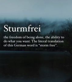 an image with the words stunfrei on it and trees in the background