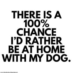 there is a 100 % chance i'd rather be at home with my dog