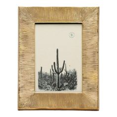 an old photo frame with a cactus in the middle and other plants behind it on a white background