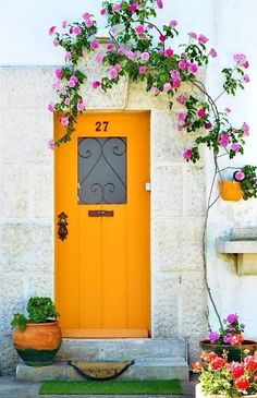 a yellow door is in front of some potted plants