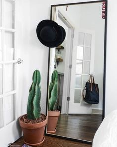 a mirror sitting on top of a wooden floor next to a cactus in a pot