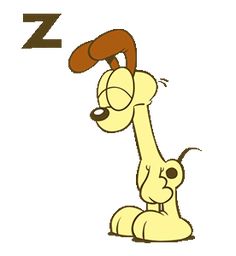 the letter z is for dog