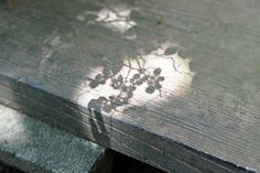 the shadow of a plant on a wooden surface