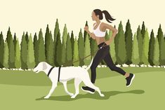 a woman jogging with her dog in the park on a sunny day illustration by person