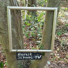 a tree with a sign hanging from it's trunk that says forest school tv