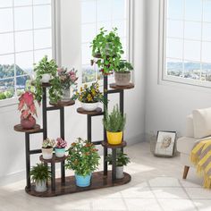 a room filled with lots of potted plants on top of wooden shelves next to a window